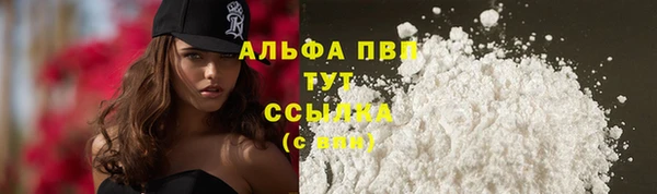 скорость Каменногорск