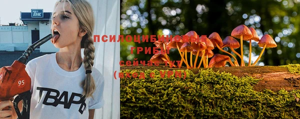 соль ск Карпинск