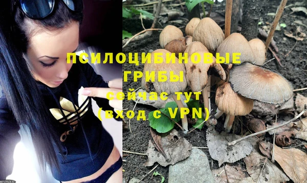 шишки Карталы