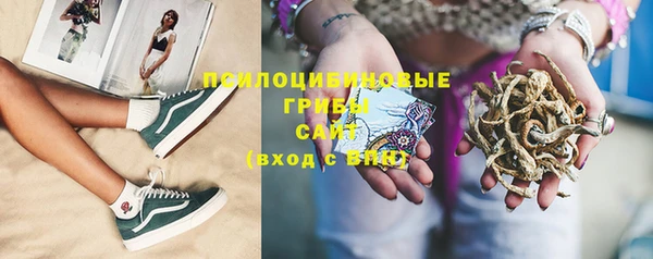 шишки Карталы