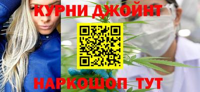 мяу мяу мука Гатчина