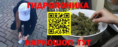 мяу мяу мука Гатчина