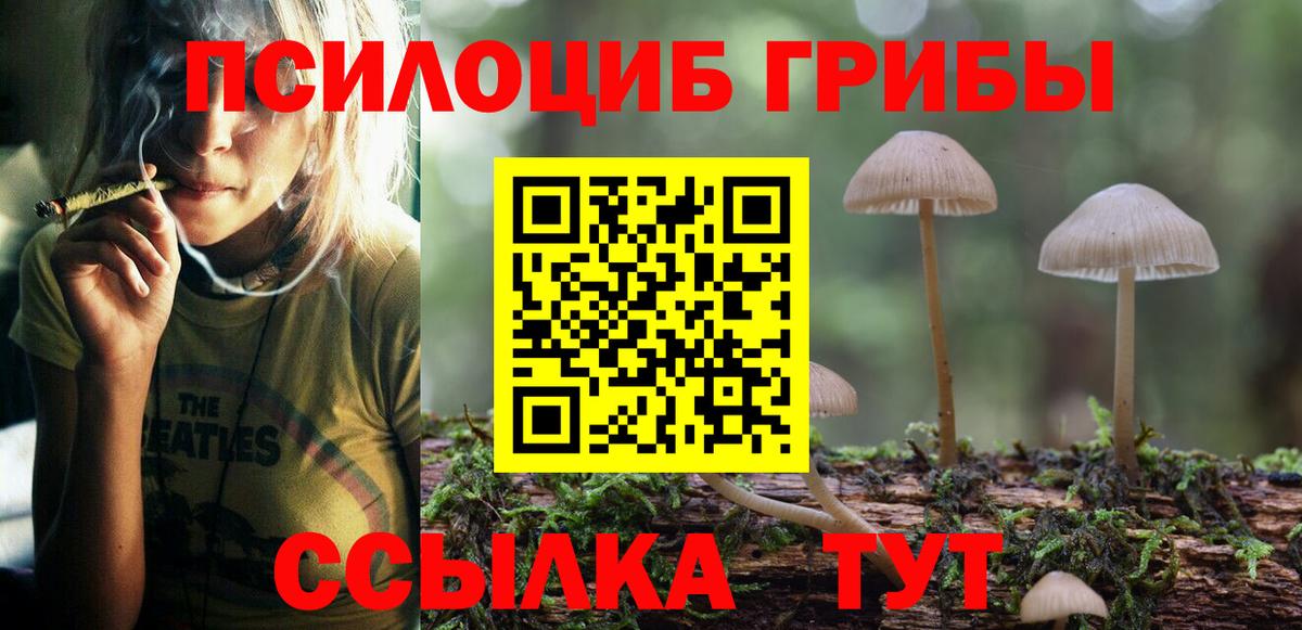 Галлюциногенные грибы MAGIC MUSHROOMS  Псилоцибиновые грибы MAGIC MUSHROOMS  Кольчугино  Вход с VPN 